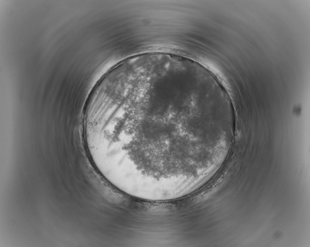 X0000091290899200709071030