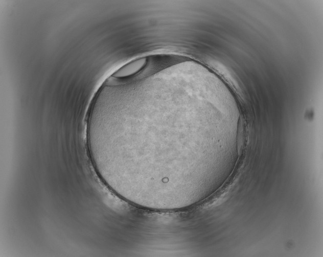 X0000091290900200709071030