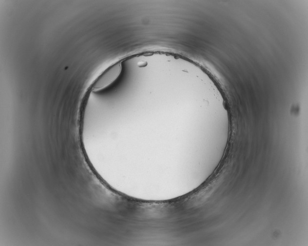 X0000091290902200709071029