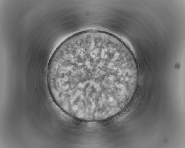 X0000091290903200709071029