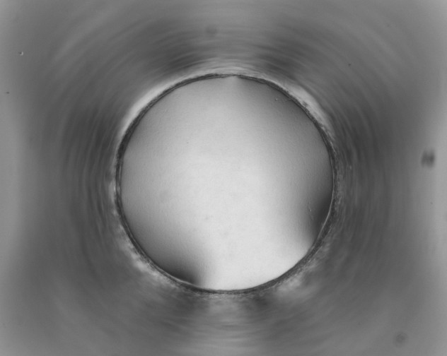 X0000091290904200709071029