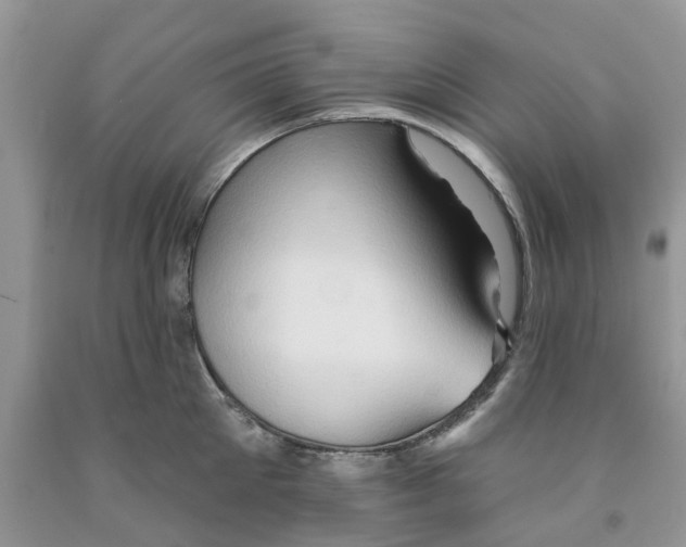 X0000091290905200709071029