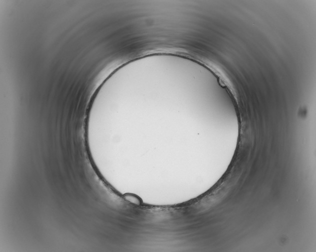 X0000091290906200709071029