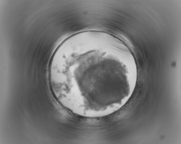 X0000091290907200709071029