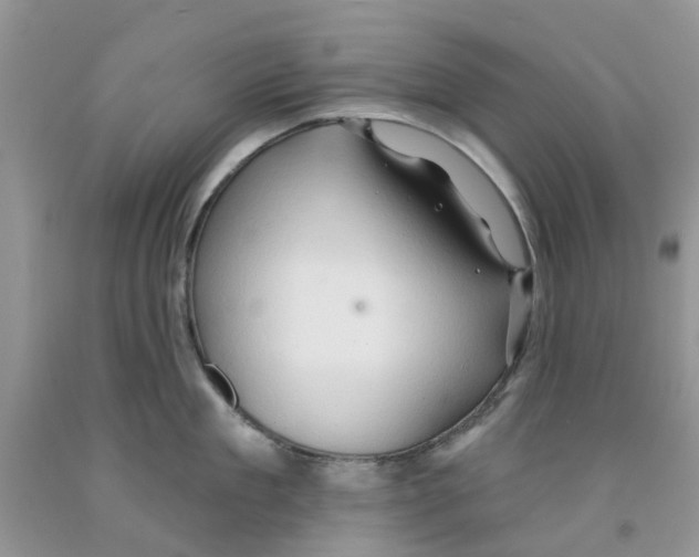 X0000091290909200709071029