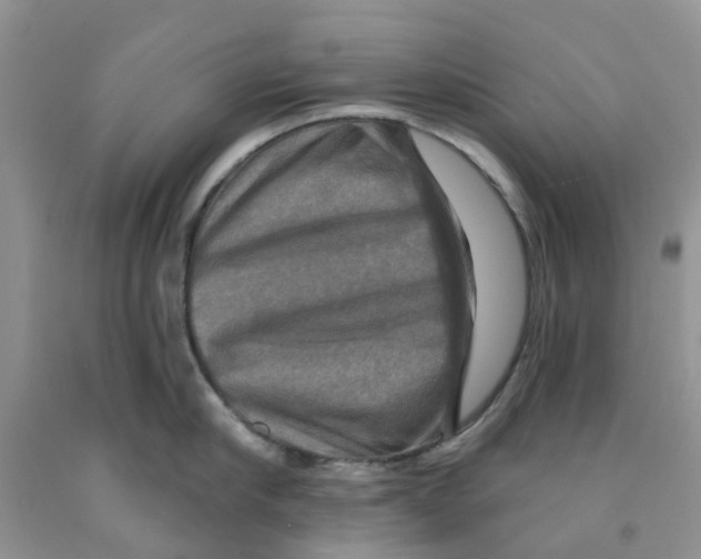 X0000091290910200709071029