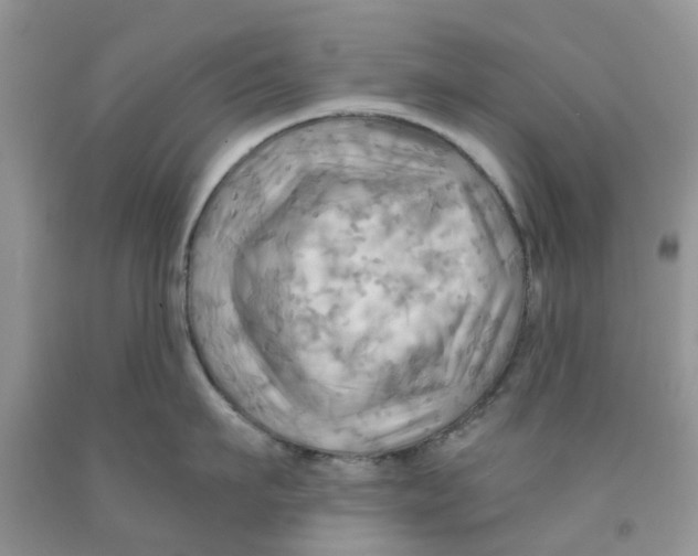 X0000091290911200709071029