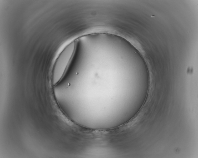 X0000091290912200709071029