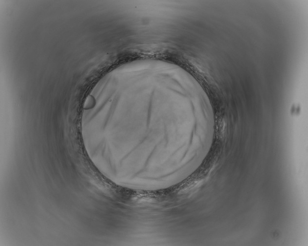 X0000091290913200709071029