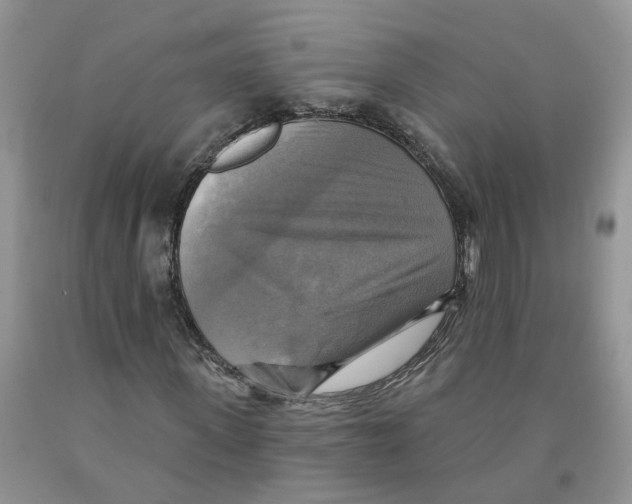 X0000091290915200709071029