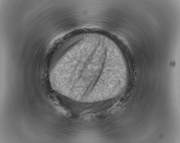 X0000091290920200709071029