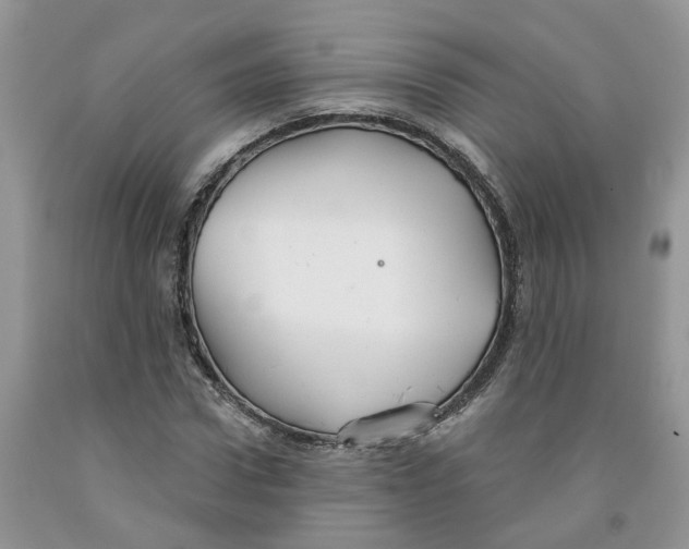 X0000091290922200709071029