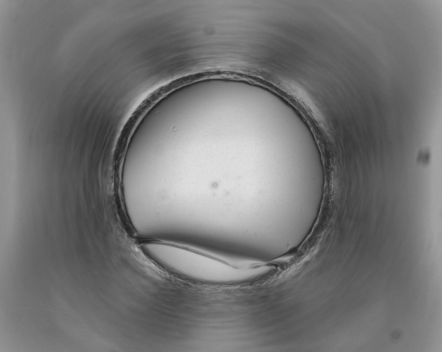 X0000091290924200709071029