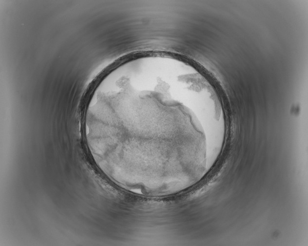 X0000091290925200709071029