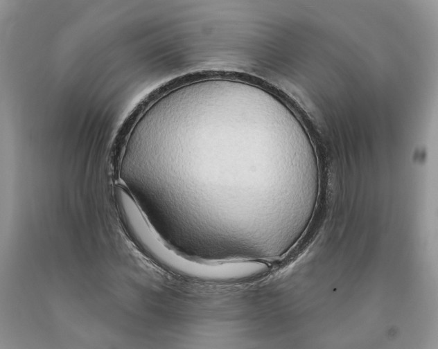 X0000091290926200709071029