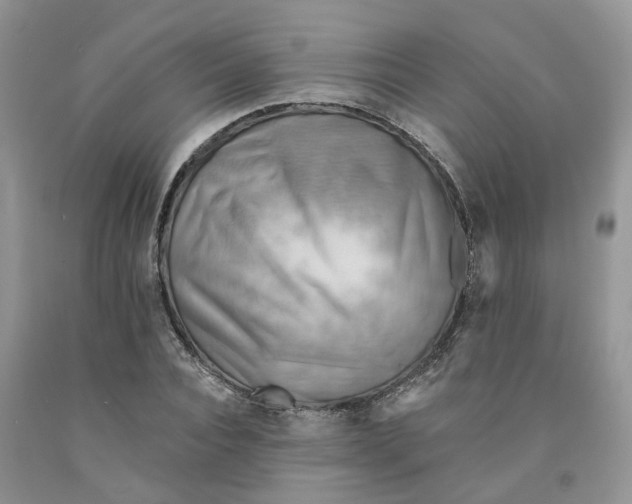 X0000091290928200709071029