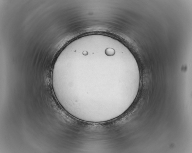 X0000091290929200709071029