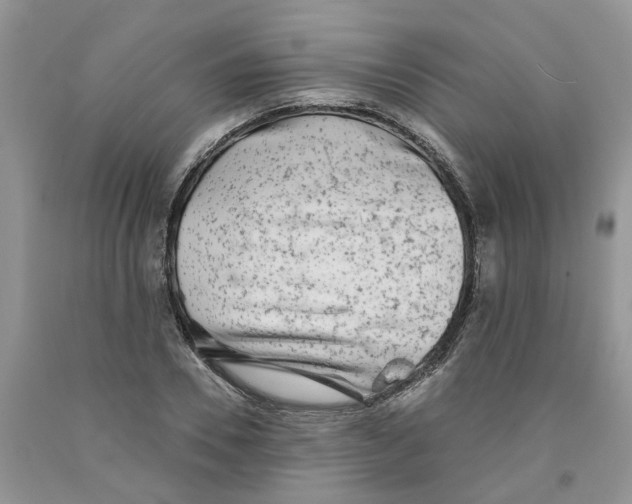 X0000091290930200709071029