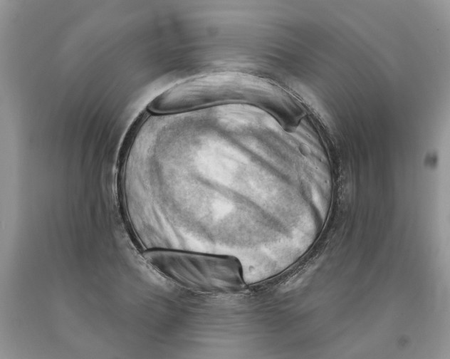 X0000091290932200709071029