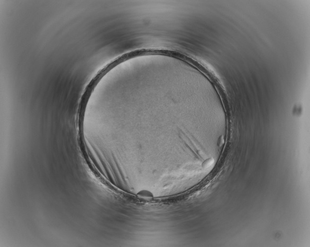 X0000091290935200709071029