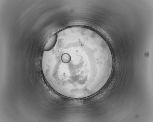 X0000091290937200709071029