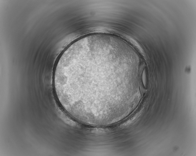 X0000091290938200709071029