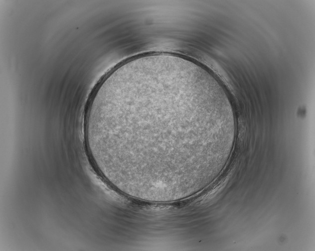 X0000091290939200709071029