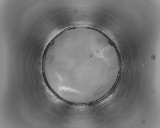 X0000091290941200709071029