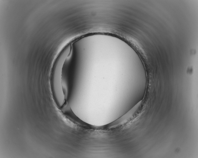 X0000091290942200709071029