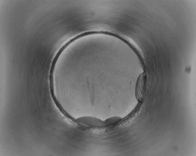 X0000091290943200709071029