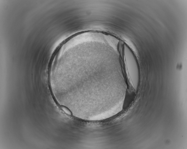 X0000091290944200709071029