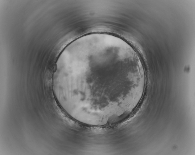 X0000091290945200709071029