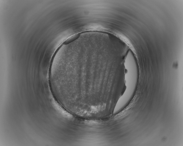 X0000091290946200709071029