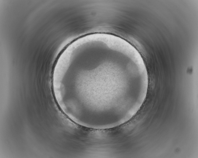 X0000091290950200709071029