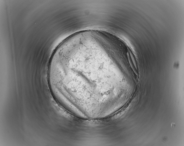 X0000091290952200709071029