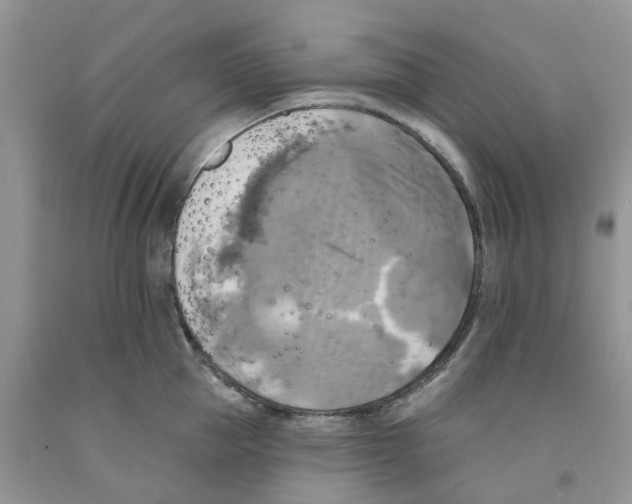 X0000091290953200709071029