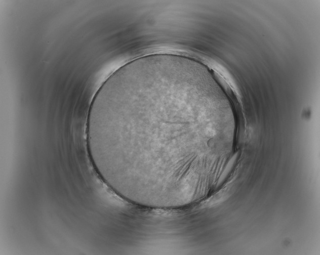 X0000091290954200709071029