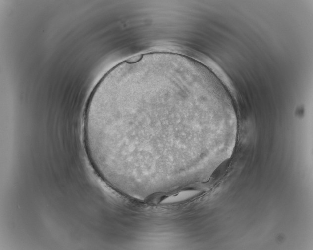 X0000091290955200709071029