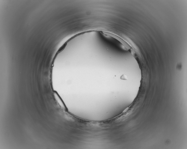 X0000091290956200709071029