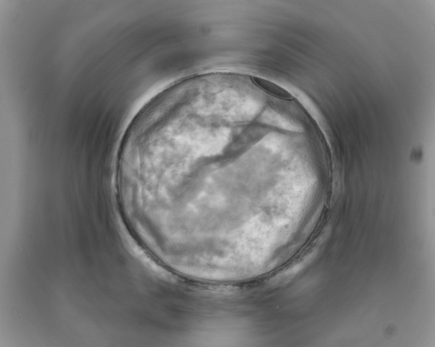 X0000091290957200709071029