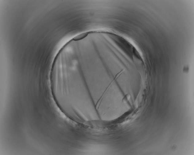 X0000091290959200709071029