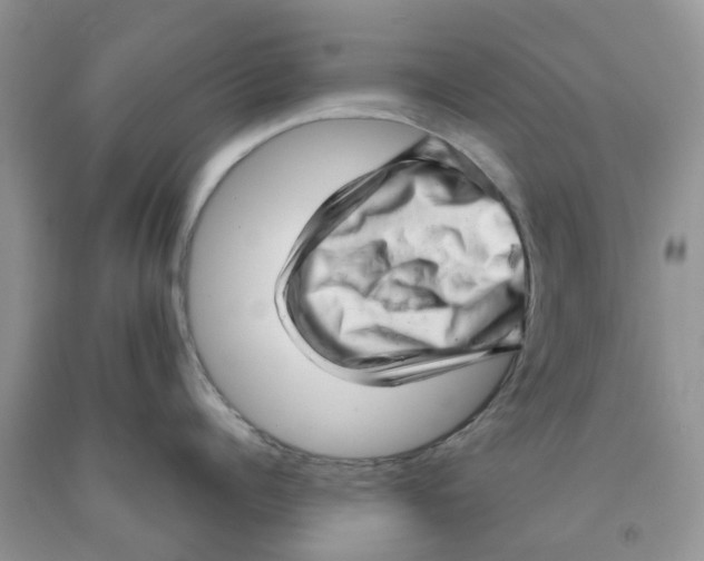 X0000091290960200709071029