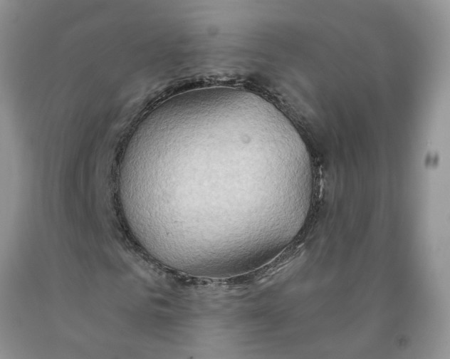 X0000091290961200709071029