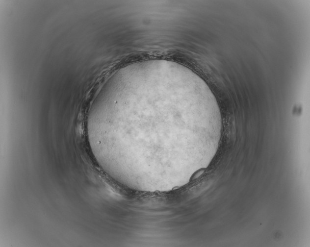 X0000091290962200709071029