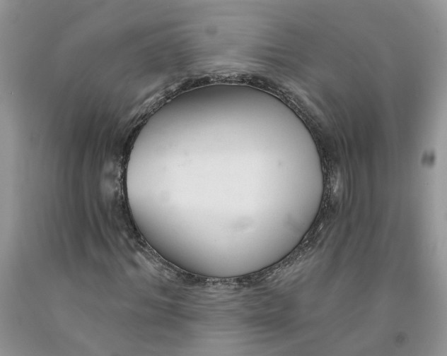 X0000091290964200709071029