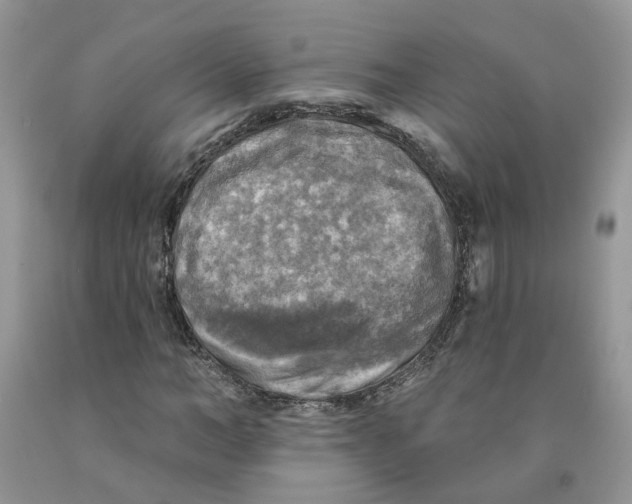 X0000091290966200709071029