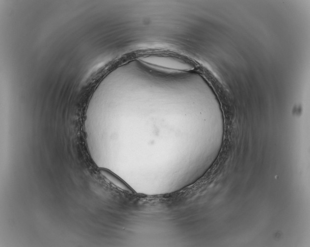 X0000091290967200709071029