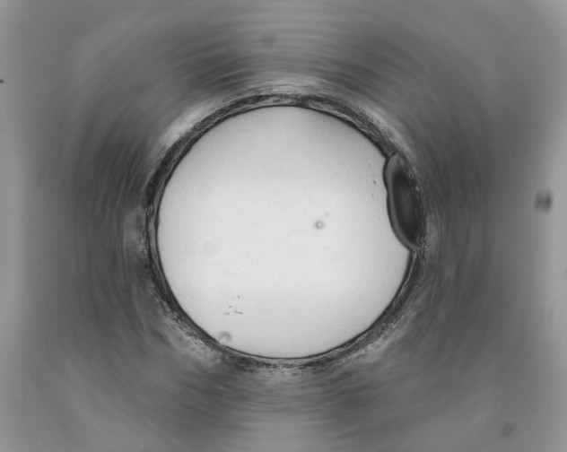 X0000091290970200709071028