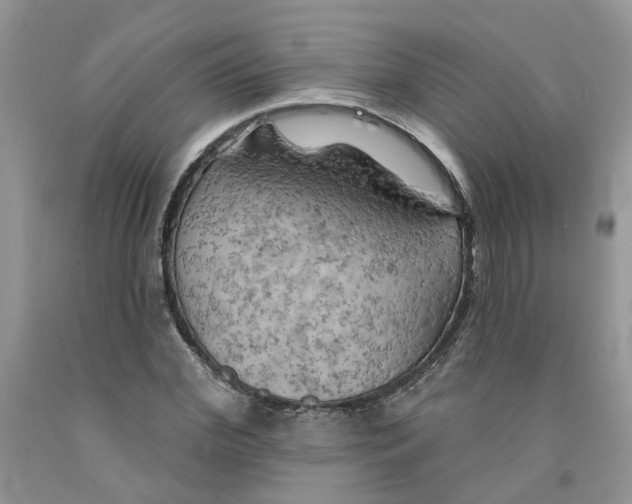 X0000091290972200709071028