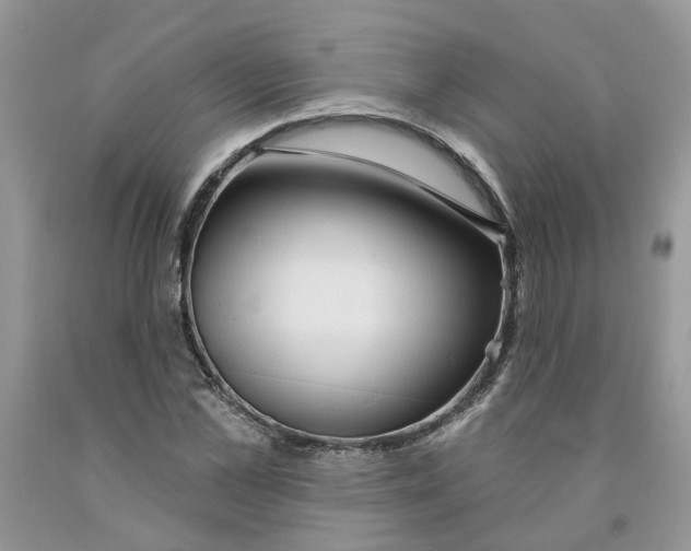 X0000091290973200709071028